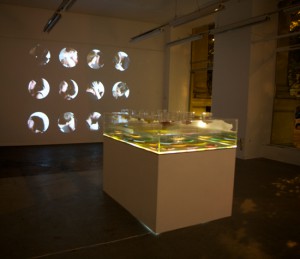 Nicole Prutsch, dieangewandte
