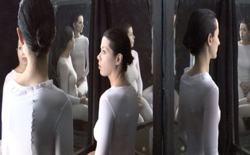 "Die Künstlerin im Zeitalter ihrer technischen Reproduzierbarkeit" (2010) Videostill