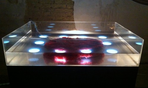Beyond Reproduction 2011